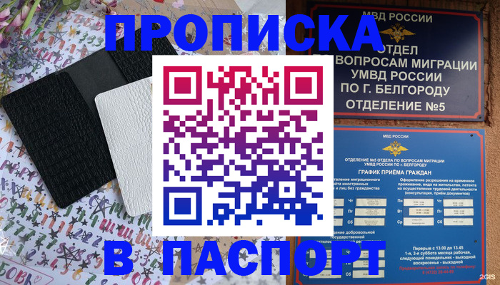 прописка иностранных граждан в Рубцовске